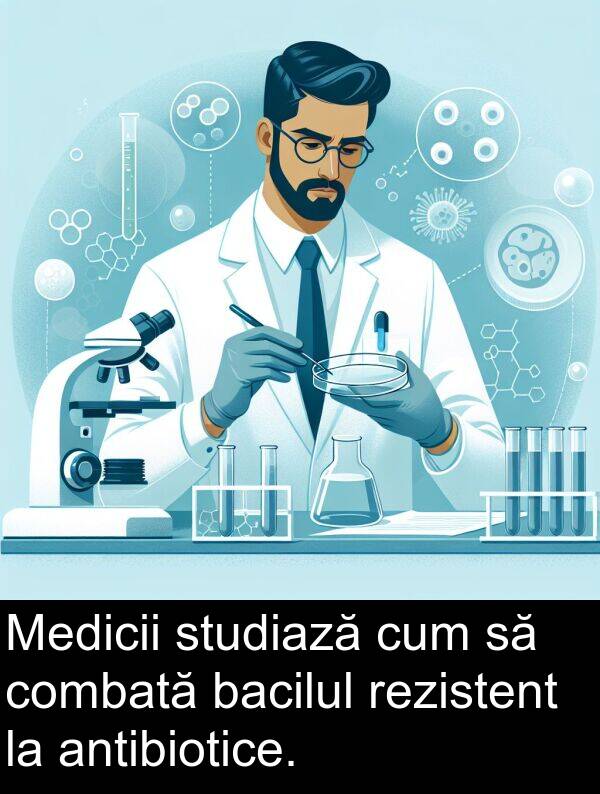 bacilul: Medicii studiază cum să combată bacilul rezistent la antibiotice.