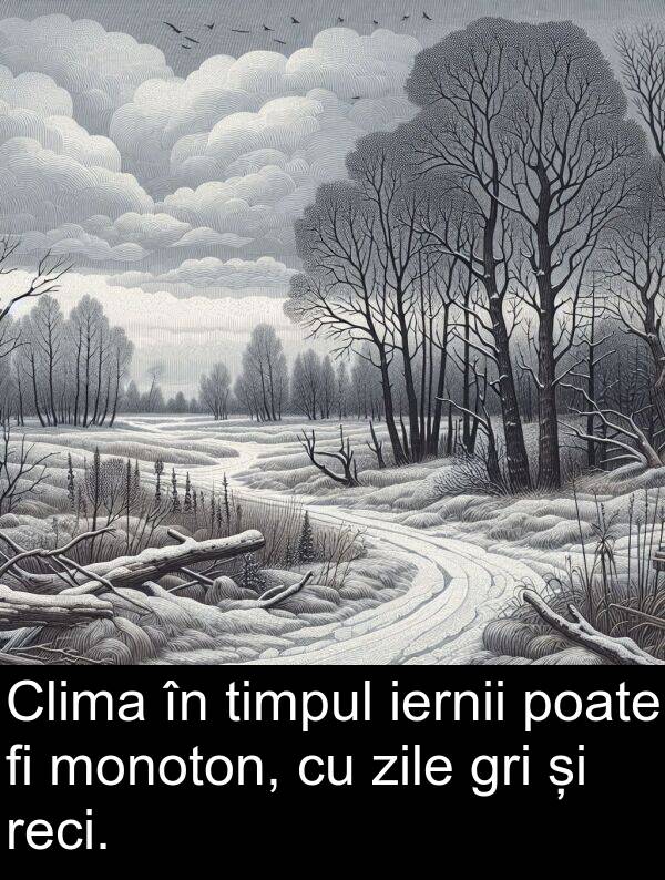 iernii: Clima în timpul iernii poate fi monoton, cu zile gri și reci.