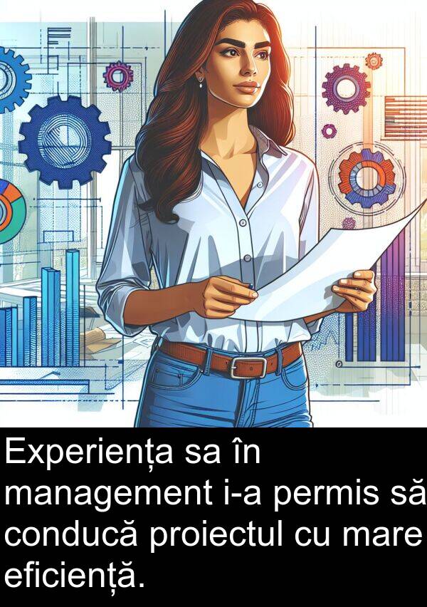 management: Experiența sa în management i-a permis să conducă proiectul cu mare eficiență.