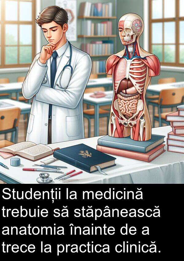 trece: Studenții la medicină trebuie să stăpânească anatomia înainte de a trece la practica clinică.