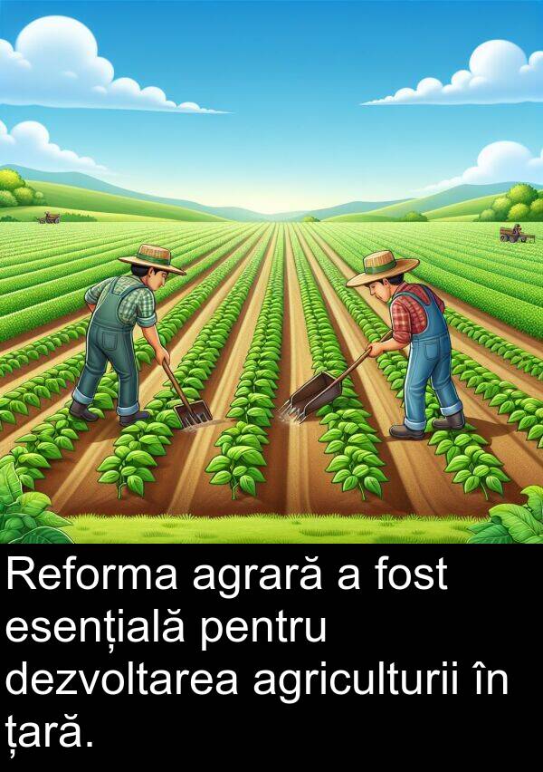 țară: Reforma agrară a fost esențială pentru dezvoltarea agriculturii în țară.