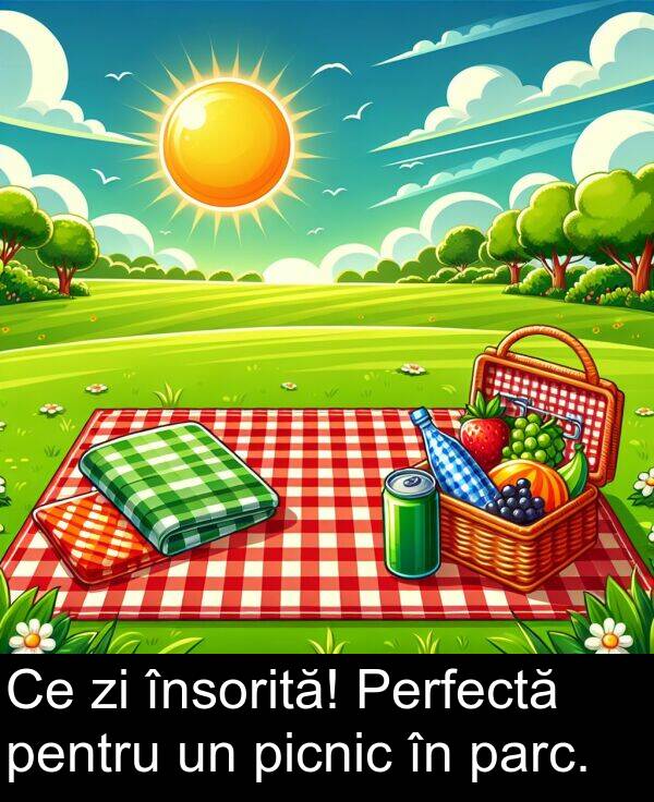 parc: Ce zi însorită! Perfectă pentru un picnic în parc.