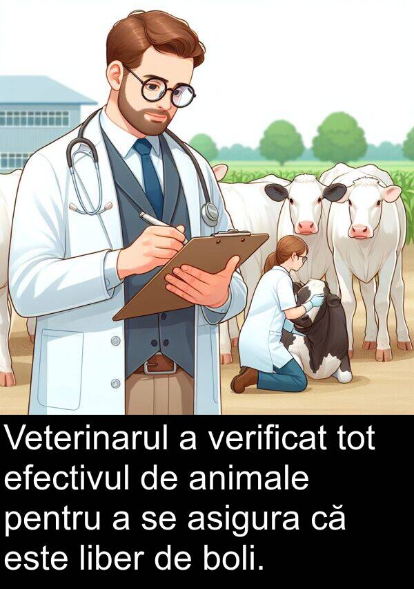 efectivul: Veterinarul a verificat tot efectivul de animale pentru a se asigura că este liber de boli.