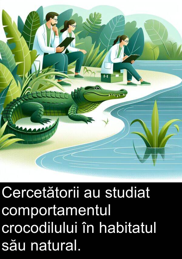 habitatul: Cercetătorii au studiat comportamentul crocodilului în habitatul său natural.