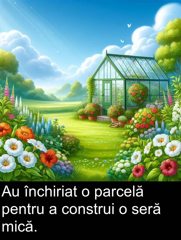 seră: Au închiriat o parcelă pentru a construi o seră mică.
