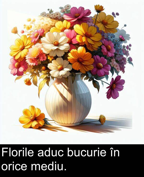 bucurie: Florile aduc bucurie în orice mediu.