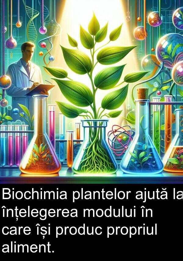 aliment: Biochimia plantelor ajută la înțelegerea modului în care își produc propriul aliment.