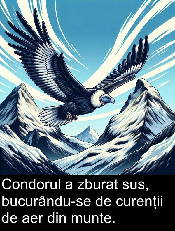 curenții: Condorul a zburat sus, bucurându-se de curenții de aer din munte.