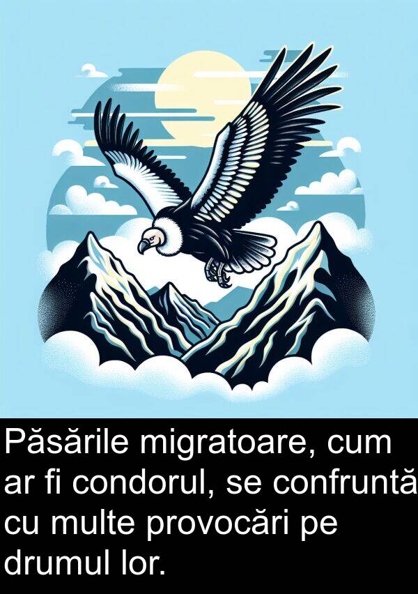 drumul: Păsările migratoare, cum ar fi condorul, se confruntă cu multe provocări pe drumul lor.
