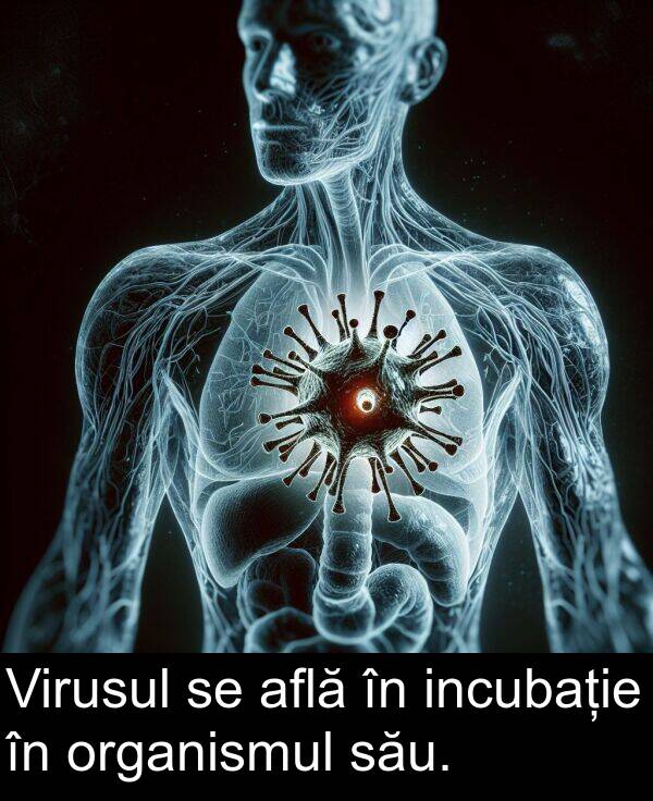 său: Virusul se află în incubație în organismul său.