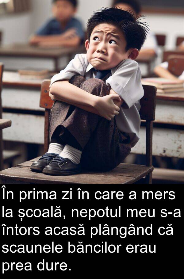 acasă: În prima zi în care a mers la școală, nepotul meu s-a întors acasă plângând că scaunele băncilor erau prea dure.
