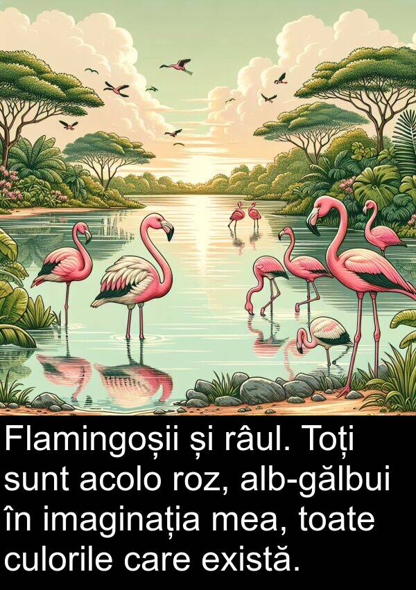 imaginația: Flamingoșii și râul. Toți sunt acolo roz, alb-gălbui în imaginația mea, toate culorile care există.