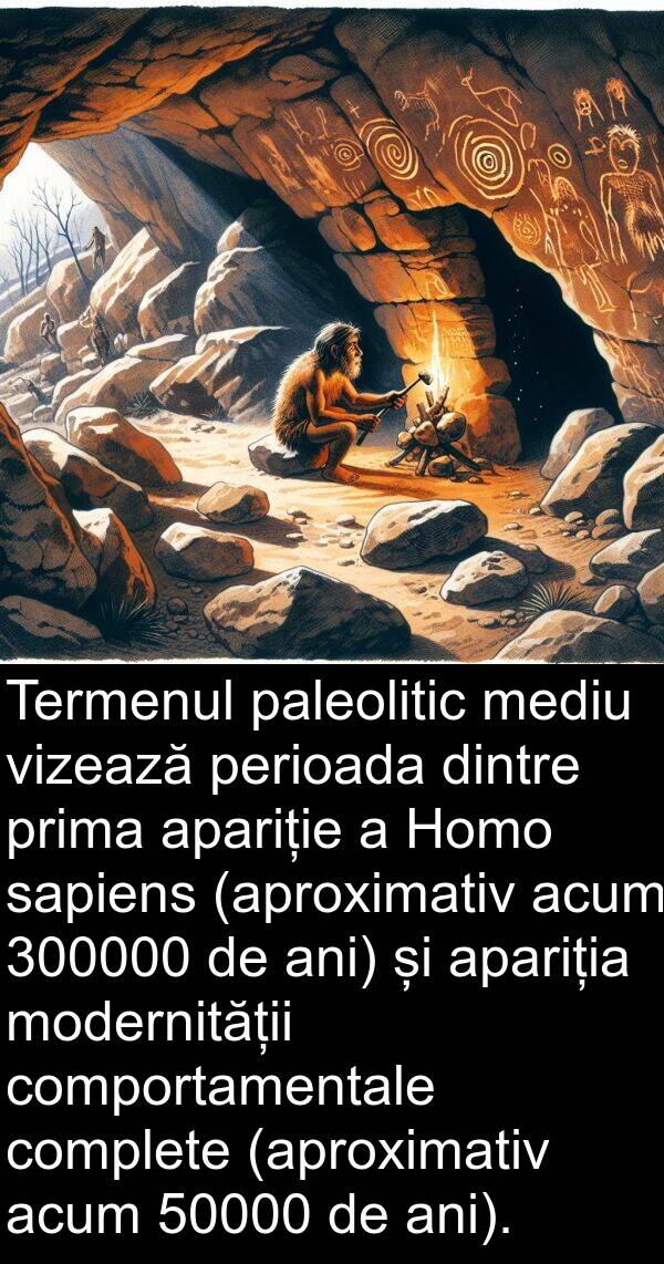 sapiens: Termenul paleolitic mediu vizează perioada dintre prima apariție a Homo sapiens (aproximativ acum 300000 de ani) și apariția modernității comportamentale complete (aproximativ acum 50000 de ani).