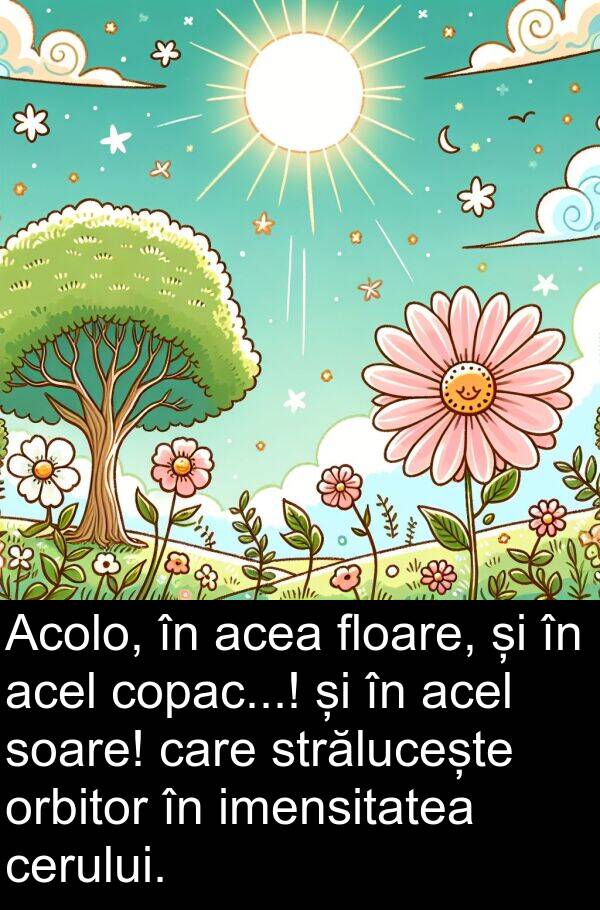 imensitatea: Acolo, în acea floare, și în acel copac...! și în acel soare! care strălucește orbitor în imensitatea cerului.