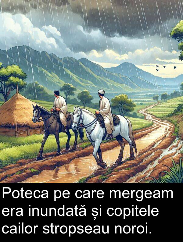 cailor: Poteca pe care mergeam era inundată și copitele cailor stropseau noroi.