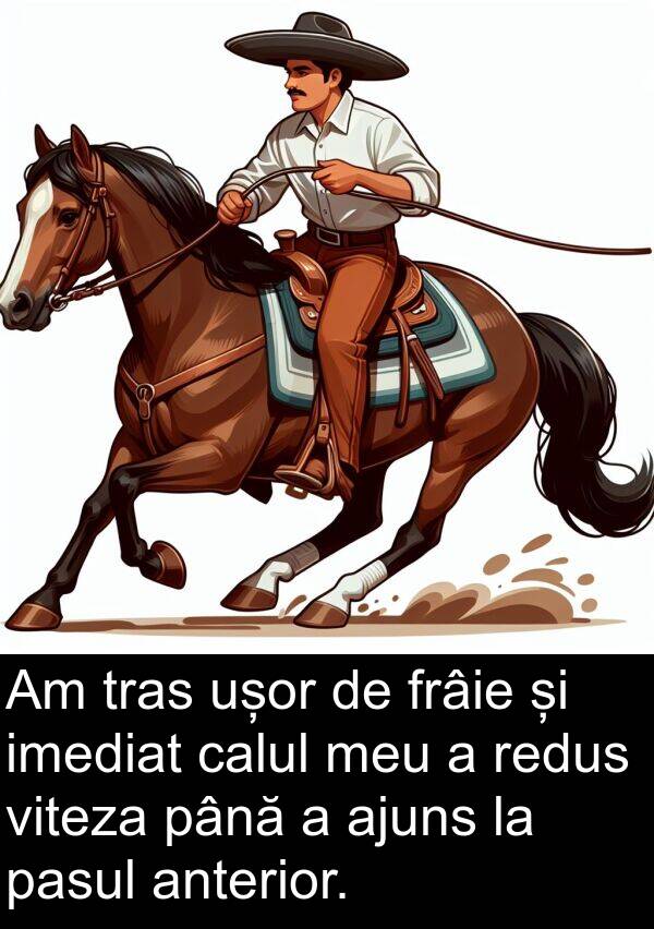 imediat: Am tras ușor de frâie și imediat calul meu a redus viteza până a ajuns la pasul anterior.