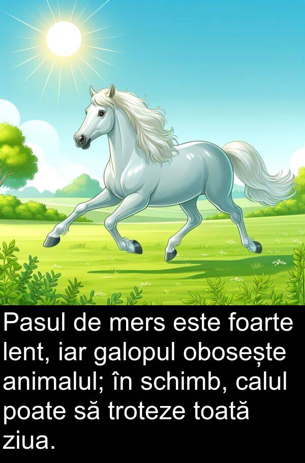 iar: Pasul de mers este foarte lent, iar galopul obosește animalul; în schimb, calul poate să troteze toată ziua.