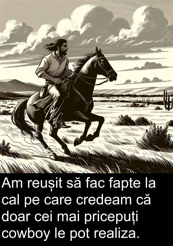 fapte: Am reușit să fac fapte la cal pe care credeam că doar cei mai pricepuți cowboy le pot realiza.