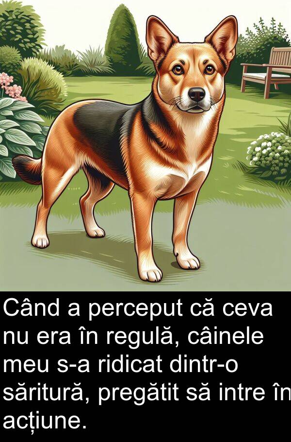 săritură: Când a perceput că ceva nu era în regulă, câinele meu s-a ridicat dintr-o săritură, pregătit să intre în acțiune.