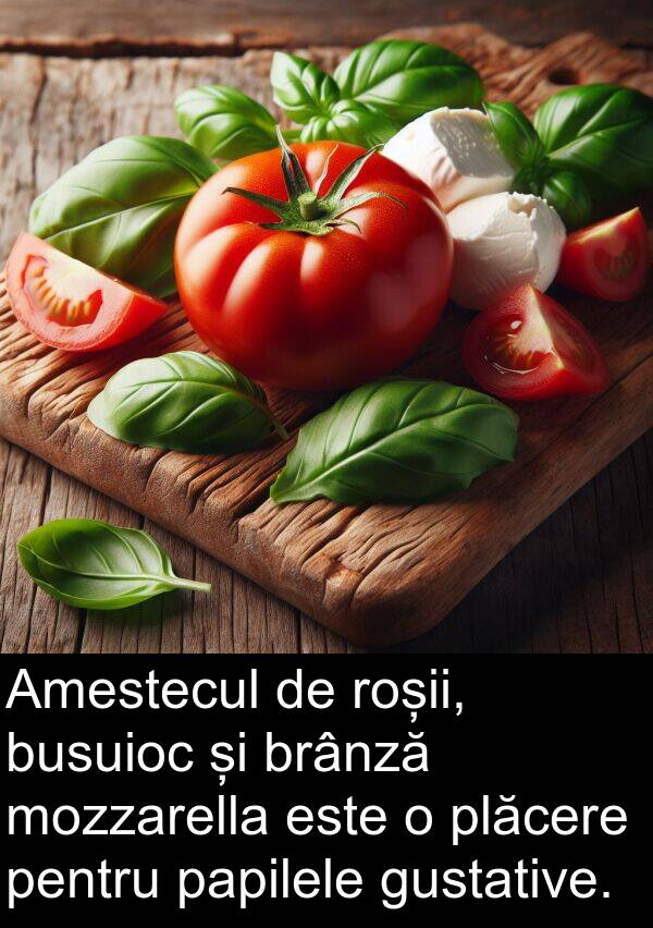 papilele: Amestecul de roșii, busuioc și brânză mozzarella este o plăcere pentru papilele gustative.