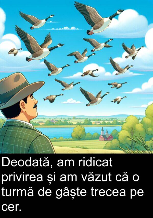 văzut: Deodată, am ridicat privirea și am văzut că o turmă de gâște trecea pe cer.