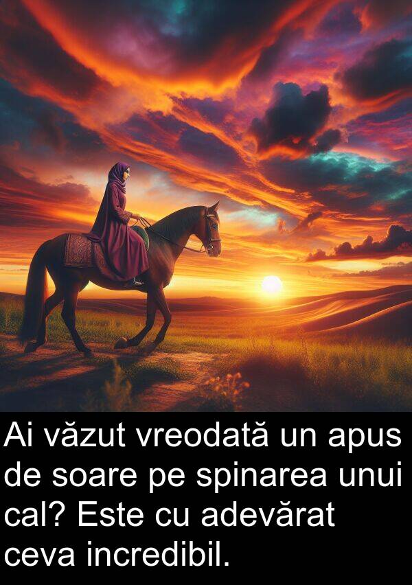 vreodată: Ai văzut vreodată un apus de soare pe spinarea unui cal? Este cu adevărat ceva incredibil.