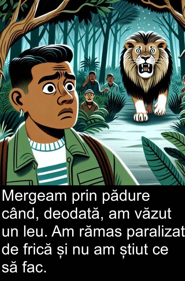 fac: Mergeam prin pădure când, deodată, am văzut un leu. Am rămas paralizat de frică și nu am știut ce să fac.