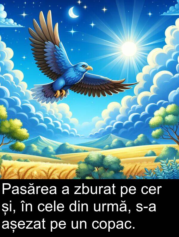 zburat: Pasărea a zburat pe cer și, în cele din urmă, s-a așezat pe un copac.