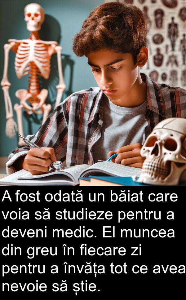 băiat: A fost odată un băiat care voia să studieze pentru a deveni medic. El muncea din greu în fiecare zi pentru a învăța tot ce avea nevoie să știe.