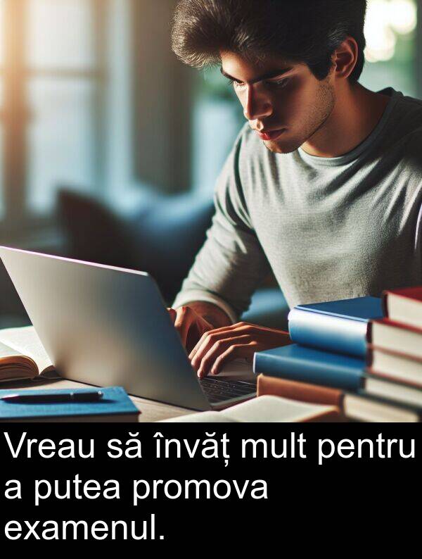 învăț: Vreau să învăț mult pentru a putea promova examenul.