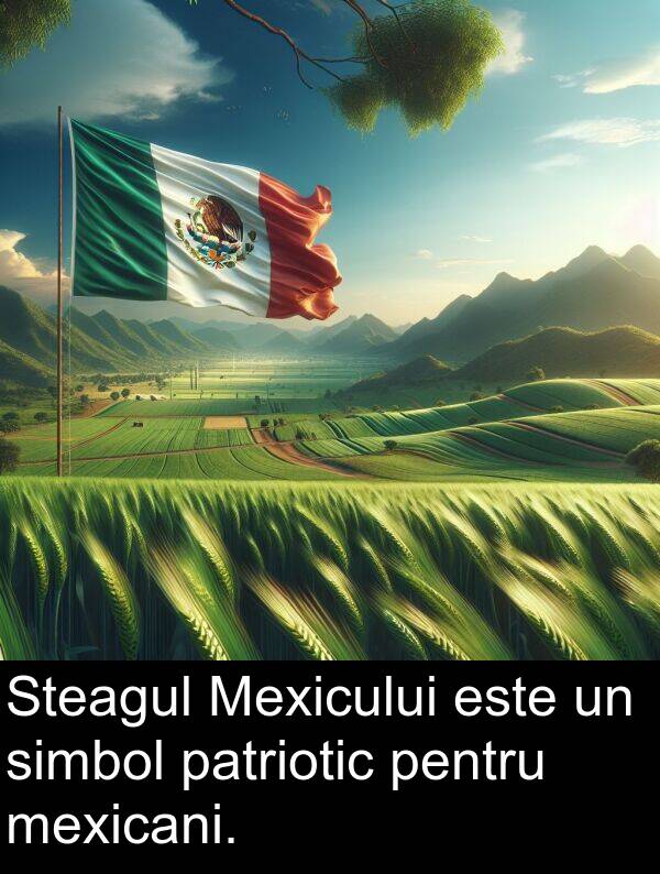 simbol: Steagul Mexicului este un simbol patriotic pentru mexicani.