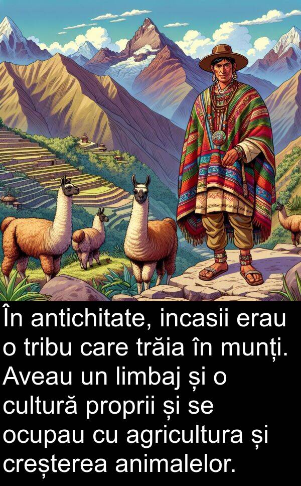 ocupau: În antichitate, incasii erau o tribu care trăia în munți. Aveau un limbaj și o cultură proprii și se ocupau cu agricultura și creșterea animalelor.