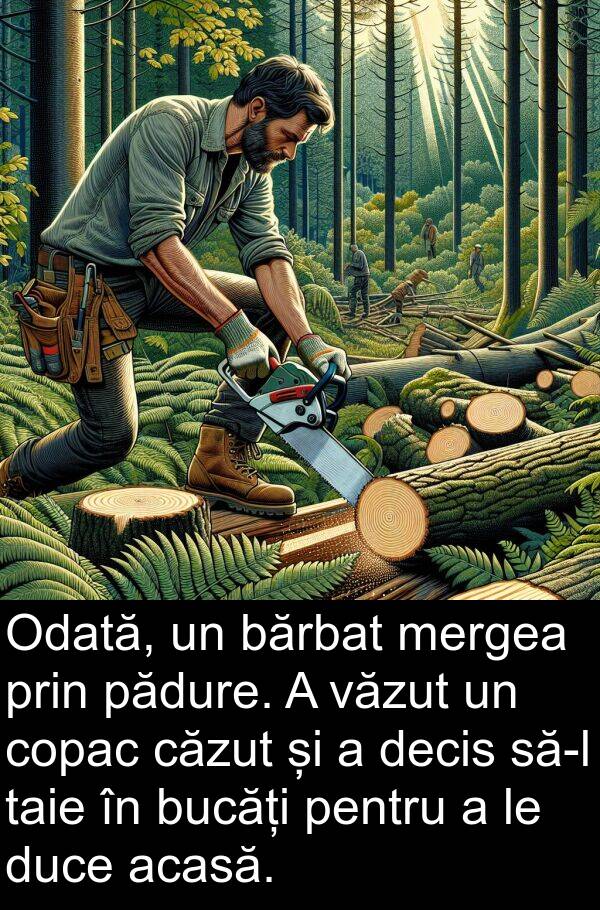 decis: Odată, un bărbat mergea prin pădure. A văzut un copac căzut și a decis să-l taie în bucăți pentru a le duce acasă.