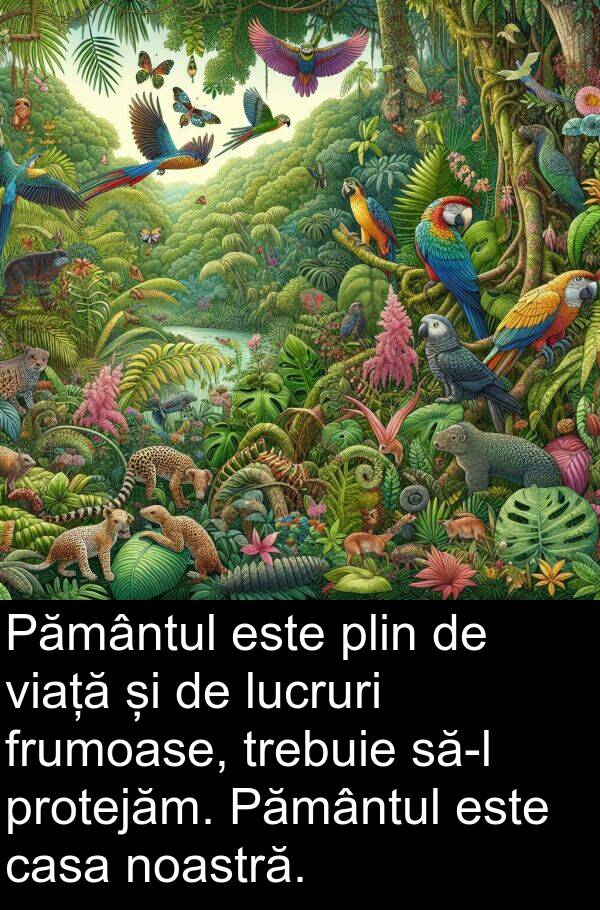 viață: Pământul este plin de viață și de lucruri frumoase, trebuie să-l protejăm. Pământul este casa noastră.