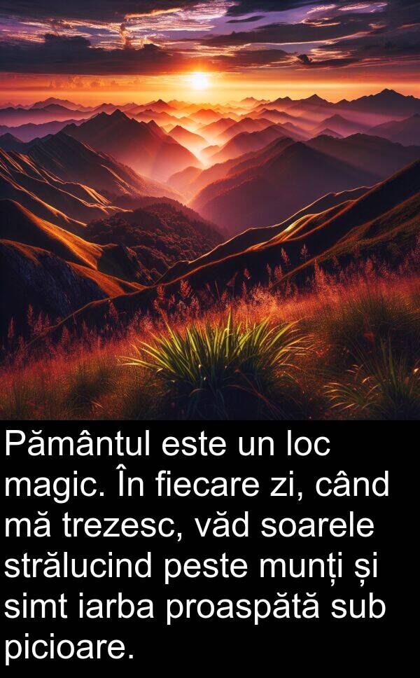 iarba: Pământul este un loc magic. În fiecare zi, când mă trezesc, văd soarele strălucind peste munți și simt iarba proaspătă sub picioare.