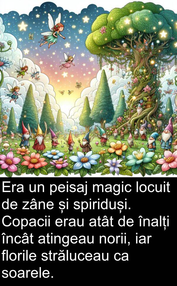 iar: Era un peisaj magic locuit de zâne și spiriduși. Copacii erau atât de înalți încât atingeau norii, iar florile străluceau ca soarele.