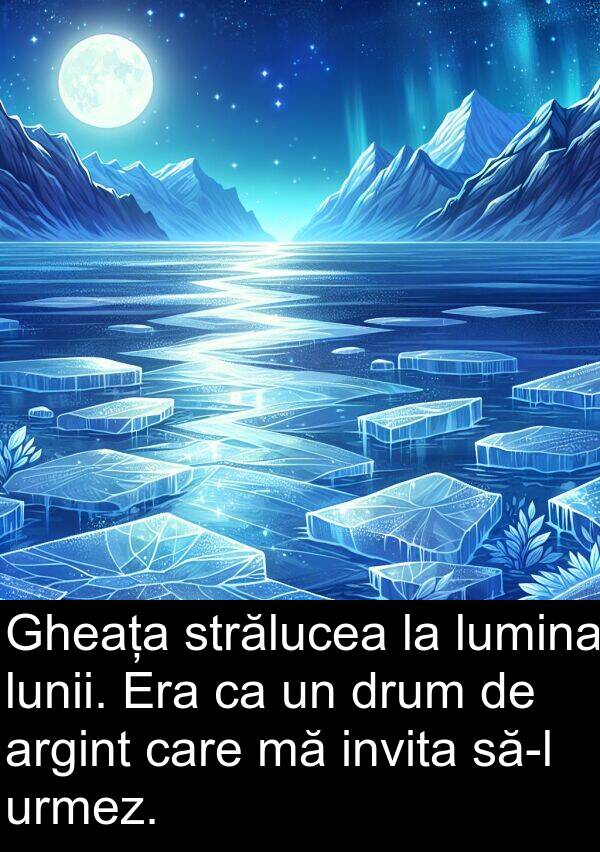 strălucea: Gheața strălucea la lumina lunii. Era ca un drum de argint care mă invita să-l urmez.