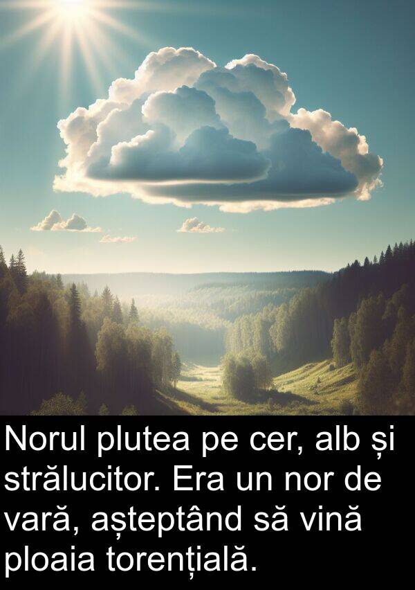 ploaia: Norul plutea pe cer, alb și strălucitor. Era un nor de vară, așteptând să vină ploaia torențială.