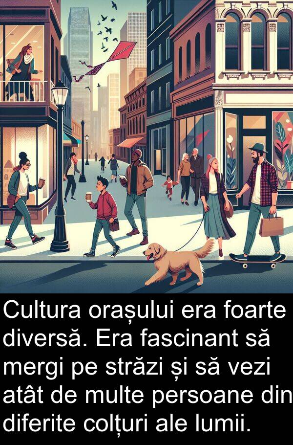 mergi: Cultura orașului era foarte diversă. Era fascinant să mergi pe străzi și să vezi atât de multe persoane din diferite colțuri ale lumii.