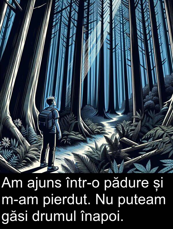 înapoi: Am ajuns într-o pădure și m-am pierdut. Nu puteam găsi drumul înapoi.