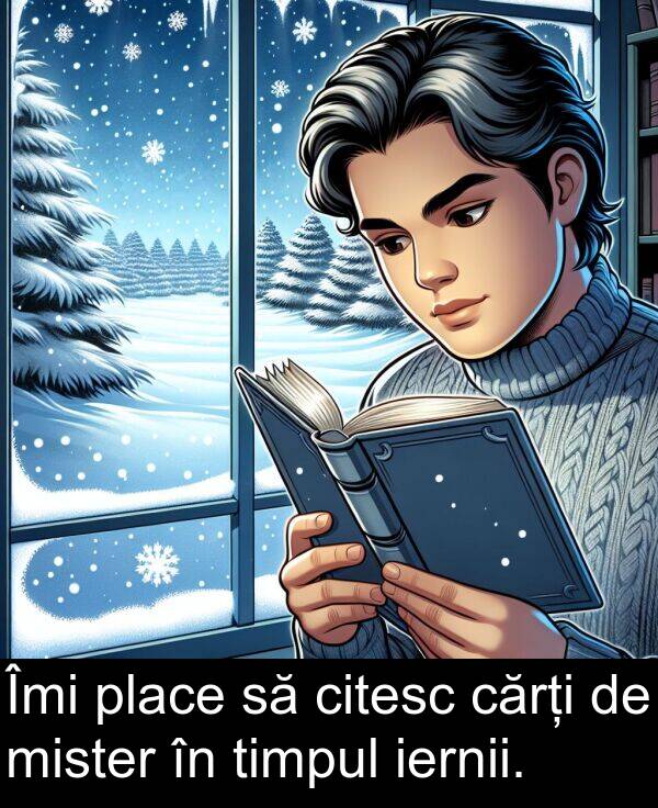 iernii: Îmi place să citesc cărți de mister în timpul iernii.