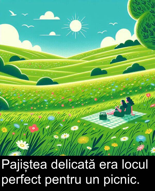 delicată: Pajiștea delicată era locul perfect pentru un picnic.