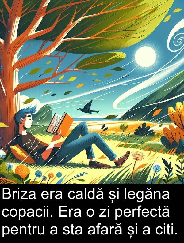 legăna: Briza era caldă și legăna copacii. Era o zi perfectă pentru a sta afară și a citi.