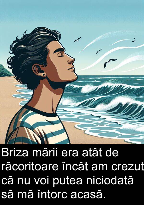 acasă: Briza mării era atât de răcoritoare încât am crezut că nu voi putea niciodată să mă întorc acasă.
