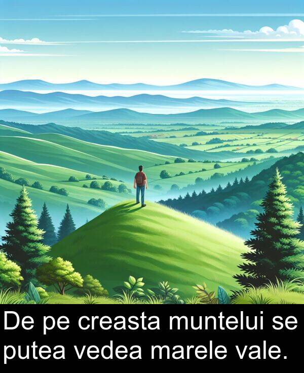 vedea: De pe creasta muntelui se putea vedea marele vale.