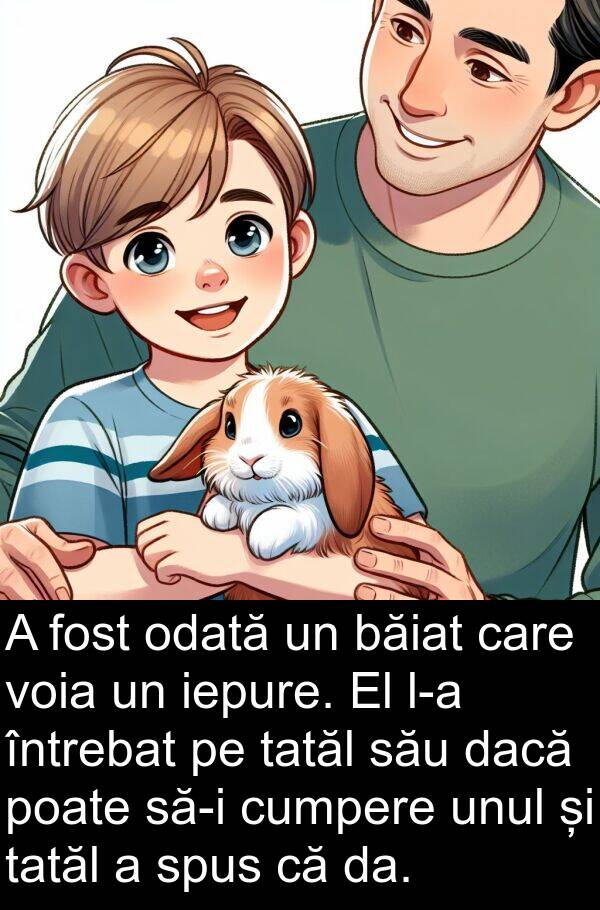 dacă: A fost odată un băiat care voia un iepure. El l-a întrebat pe tatăl său dacă poate să-i cumpere unul și tatăl a spus că da.