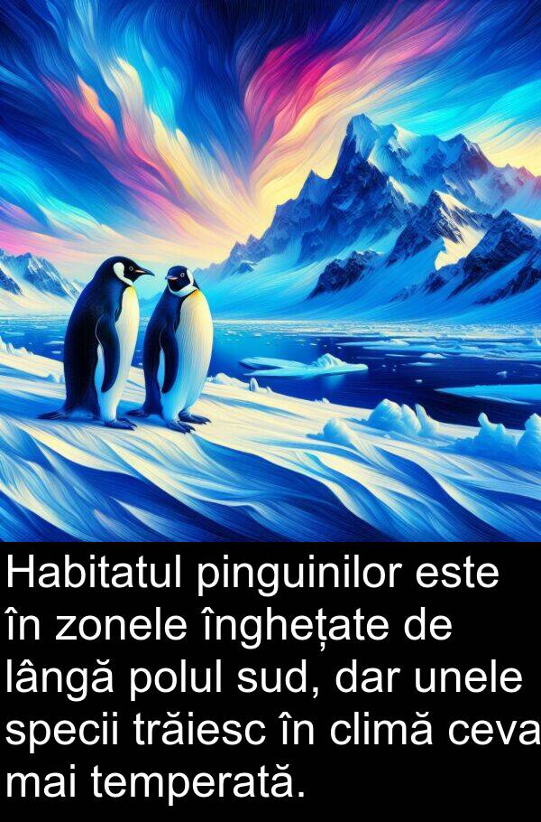 lângă: Habitatul pinguinilor este în zonele înghețate de lângă polul sud, dar unele specii trăiesc în climă ceva mai temperată.