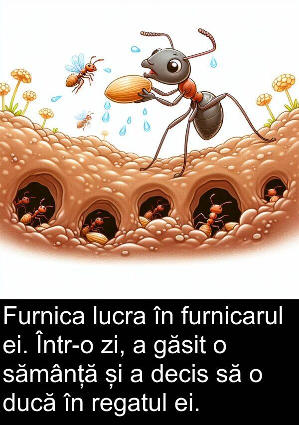 decis: Furnica lucra în furnicarul ei. Într-o zi, a găsit o sămânță și a decis să o ducă în regatul ei.