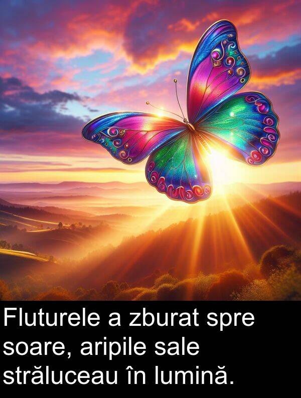 sale: Fluturele a zburat spre soare, aripile sale străluceau în lumină.