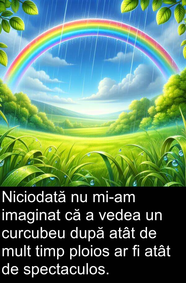 imaginat: Niciodată nu mi-am imaginat că a vedea un curcubeu după atât de mult timp ploios ar fi atât de spectaculos.